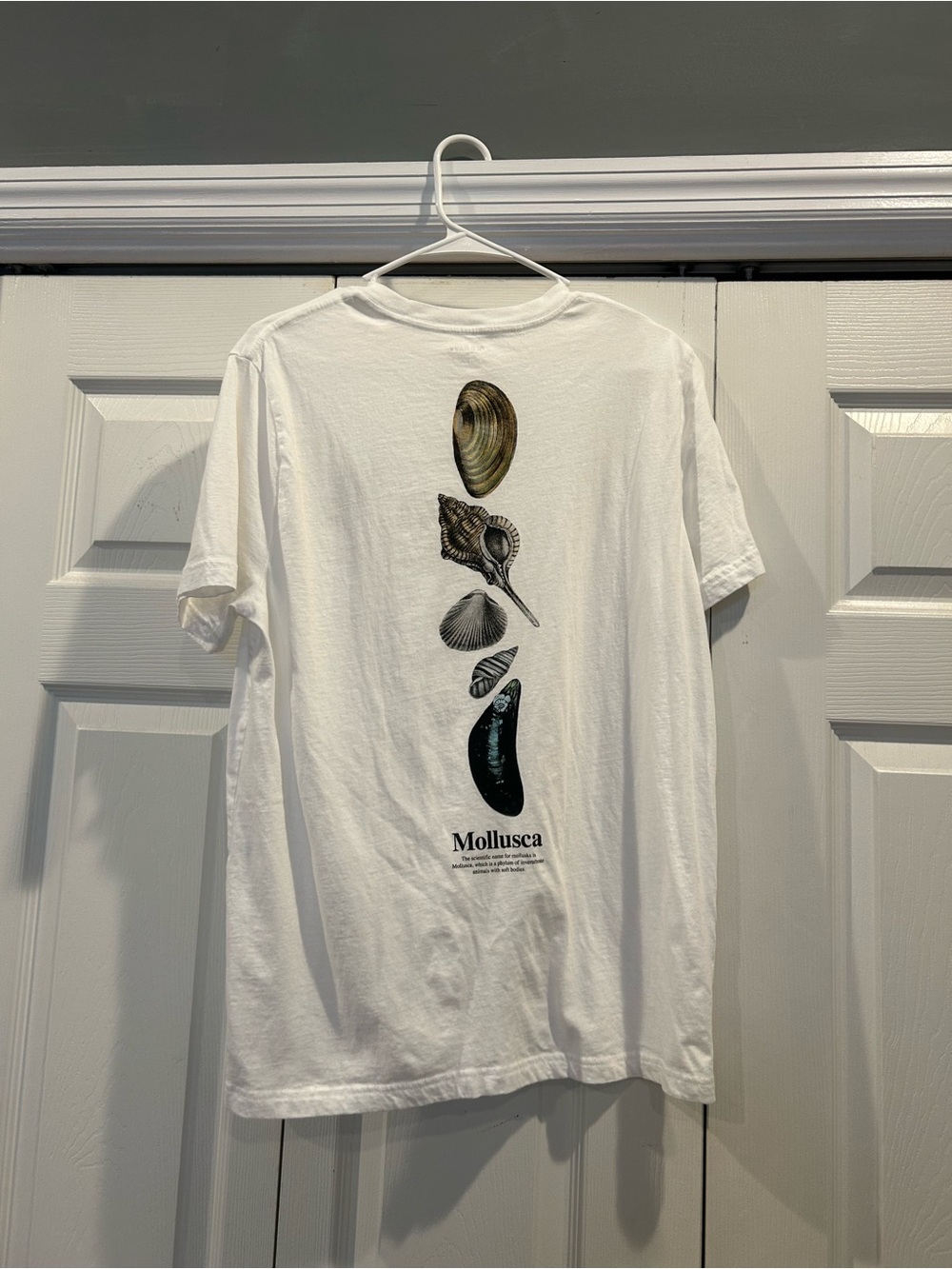 Old Navy White Short-Sleeve Tee with Shell Graphic